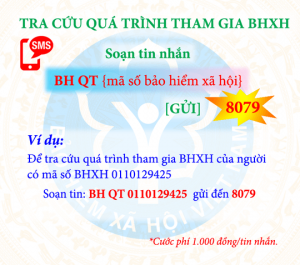 Cách tra cứu BHXH, BHYT bằng tin nhắn điện thoại 1 banhxecolson.com